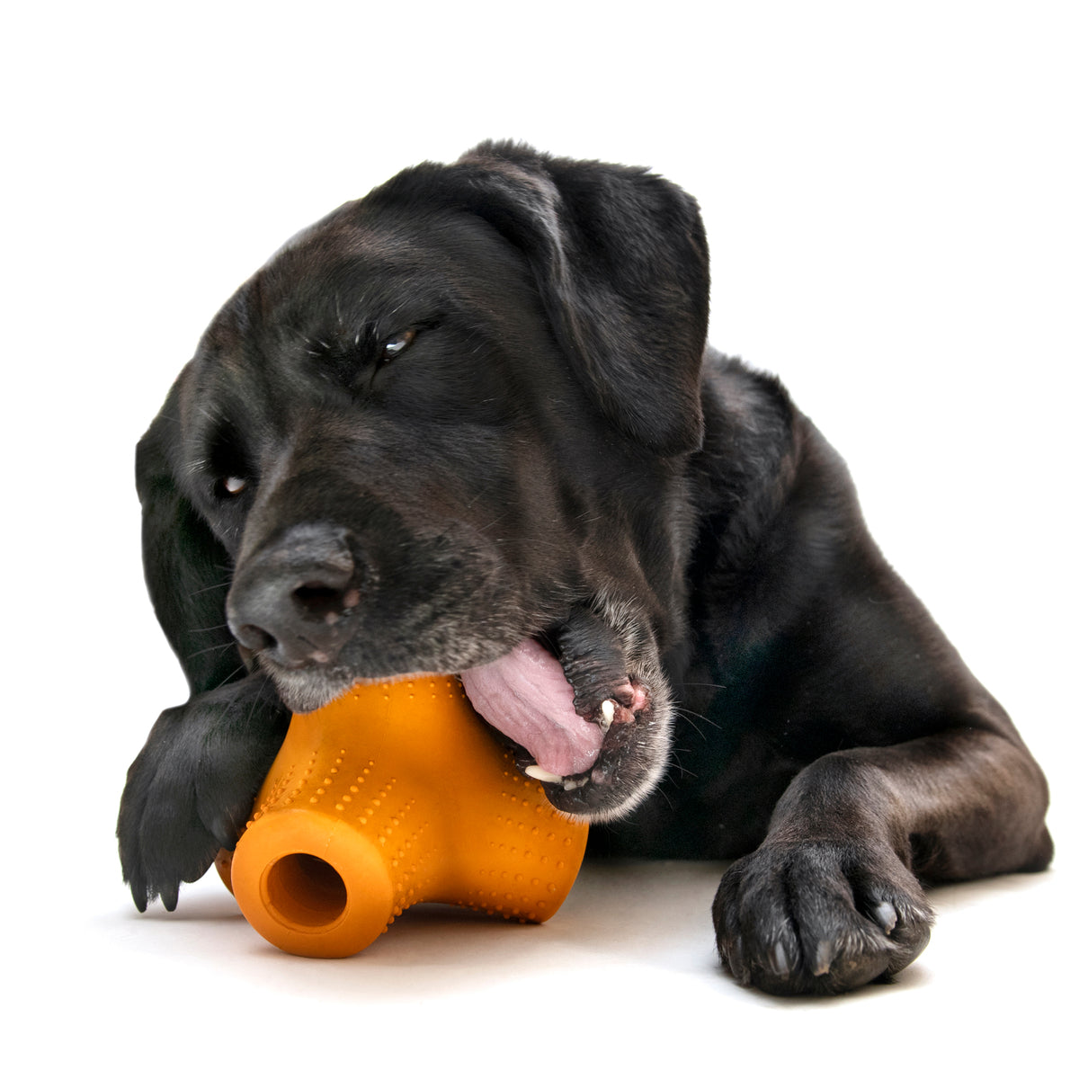 Coral Teef Super Chewer Durable Gnaw + Fetch Dog Toy