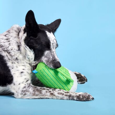 The Glass Is Greener Plush Dog Toy