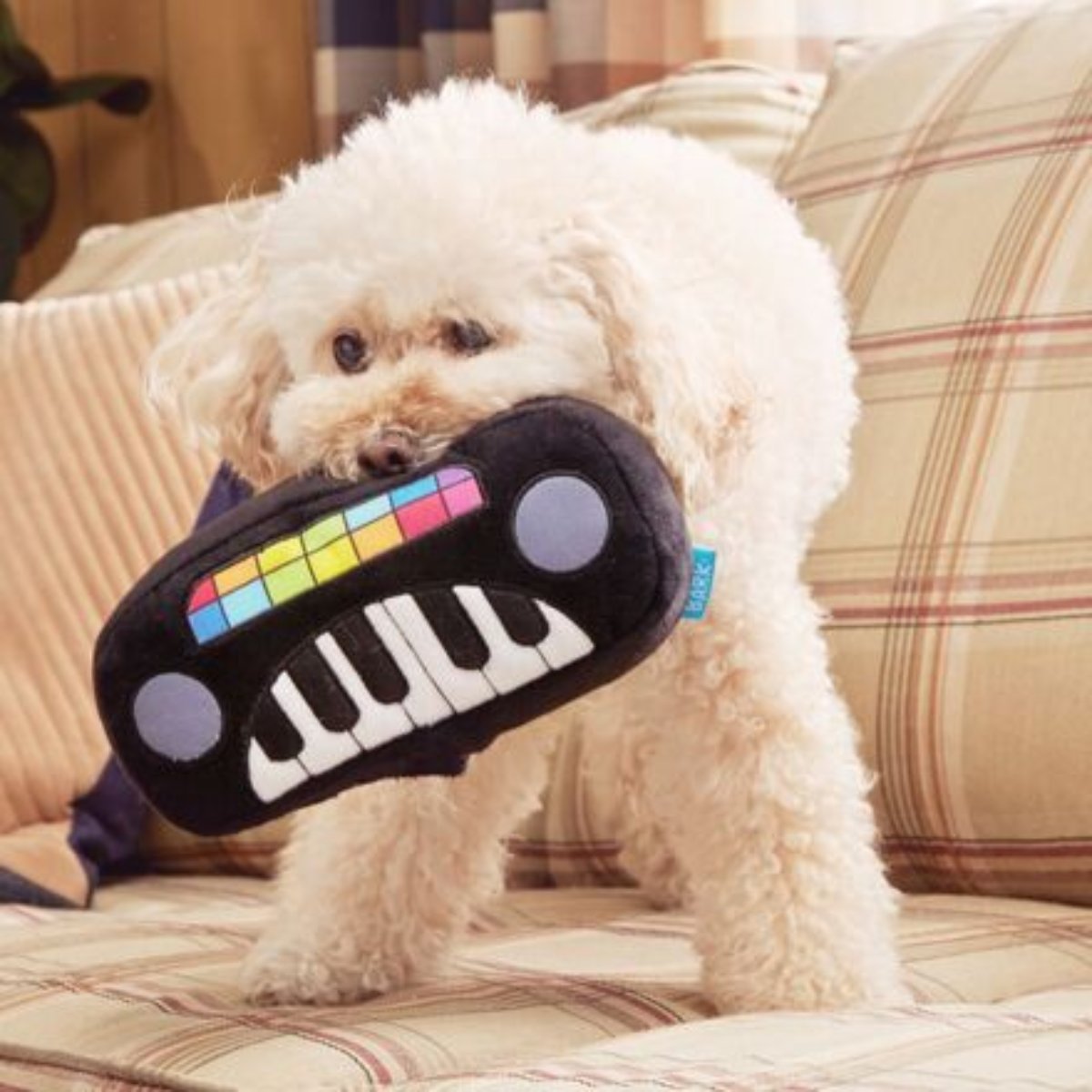 Squeaky Wonder Keyboard Plush Dog Toy