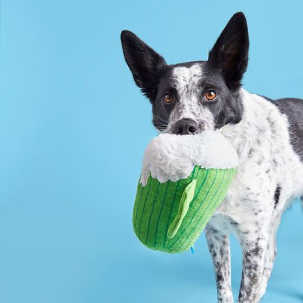 The Glass Is Greener Plush Dog Toy