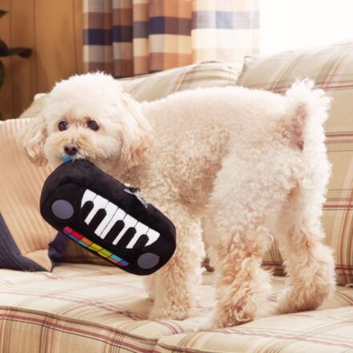 Squeaky Wonder Keyboard Plush Dog Toy