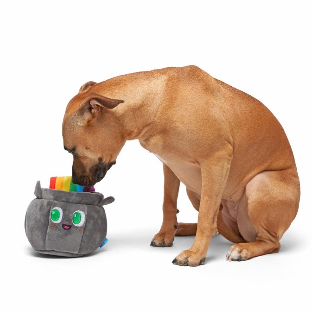 St. Pup's Pot o' Gold Plush Tug Dog Toy