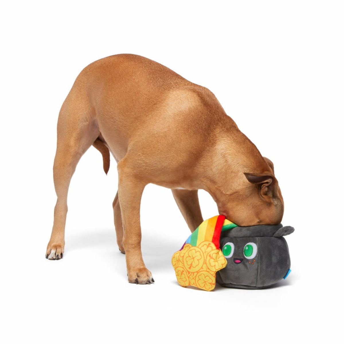 St. Pup's Pot o' Gold Plush Tug Dog Toy